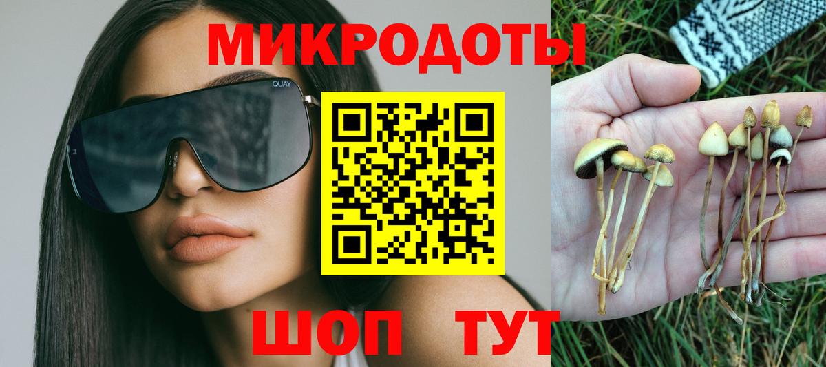 Галлюциногенные грибы Psilocybine cubensis  Галлюциногенные грибы ЛСД  Вход с VPN  Обь 